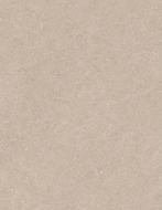 SPC Beton Beige Fijn | NU €49,99!, Ophalen of Verzenden, Nieuw