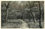 (387-120-019) Hierden Bospad op de Veluwe, Verzamelen, Ansichtkaarten | Nederland, Verzenden, Gelderland
