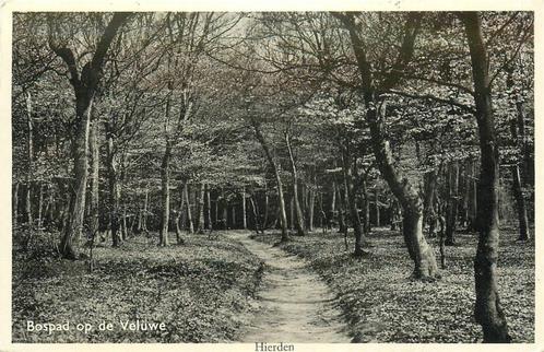 (387-120-019) Hierden Bospad op de Veluwe, Verzamelen, Ansichtkaarten | Nederland, Gelderland, Verzenden