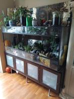 Groot Terrarium, Dieren en Toebehoren, Reptielen en Amfibieën | Toebehoren, Ophalen, Zo goed als nieuw