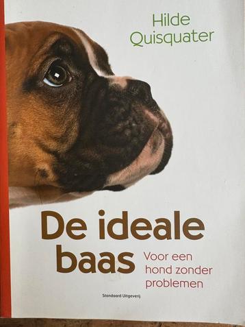Hilde Quisquater - De ideale baas beschikbaar voor biedingen
