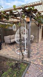 Druiven boom, Ophalen, Volle zon, Overige soorten
