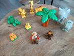Lego Duplo Dierentuin Set, Ophalen of Verzenden, Gebruikt, Complete set, Duplo