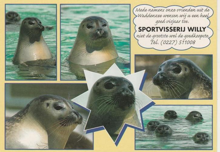 DEN OEVER Zeehonden Sportvisserij Willy, Verzamelen, Ansichtkaarten | Nederland, Ongelopen, Noord-Holland, 1980 tot heden, Verzenden
