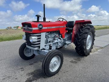 Massey Ferguson 165 beschikbaar voor biedingen