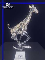 Swarovski Giraf incl. doos & certificaat, Ophalen of Verzenden, Nieuw