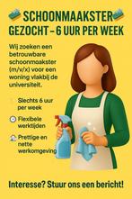 Schoonmaakster gezocht – 6 uur per week, Kleding | Dames, Broeken en Pantalons, Ophalen of Verzenden, Zo goed als nieuw