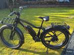 Rad Rhino Power Fatbike E-bike, Ophalen, Zo goed als nieuw, 50 km per accu of meer, Overige merken