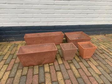 Bloembakken  beschikbaar voor biedingen