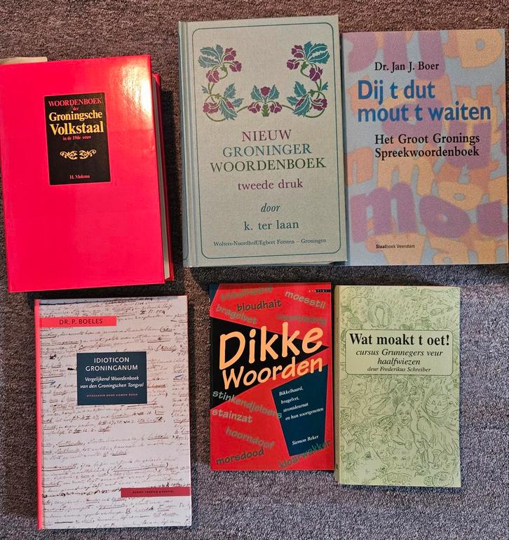 Groningse boeken: woordenboeken, Hoogkerk, Tolbert, Boeken, Partijen en Verzamelingen, Gelezen, Ophalen of Verzenden