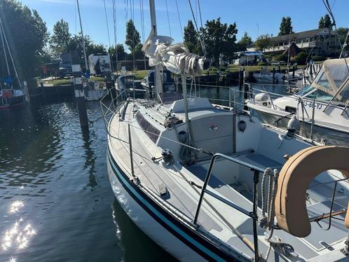 Show 29, Watersport en Boten, Kajuitzeilboten en Zeiljachten, Gebruikt, Polyester, Diesel, Ophalen