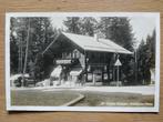 Ansichtkaart Zwitserland Chalet Steinpilz Waldhaus Flims 423, Ophalen of Verzenden, Overig Europa