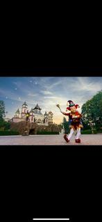 6 x Efteling tickets incl parkeren voor 23 maart, Tickets en Kaartjes, Recreatie | Pretparken en Attractieparken