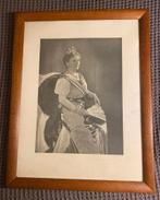 Staatsieportret (Foto) Koningin Wilhelmina, Verzamelen, Koninklijk Huis en Royalty, Ophalen of Verzenden, Gebruikt, Kaart, Foto of Prent