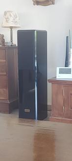 Zelfbouw luidspreker procus intus pianolak zwart, Audio, Tv en Foto, Luidsprekers, Zo goed als nieuw, 60 tot 120 watt, Front, Rear of Stereo speakers