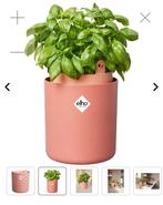 Elho bouncy basil bloem pot kweekpot terracotta, Tuin en Terras, Bloempotten, Kunststof, Verzenden, Rond, Binnen
