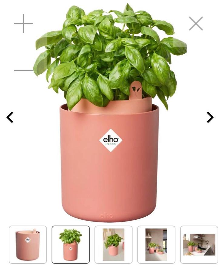 Elho bouncy basil bloem pot kweekpot terracotta, Tuin en Terras, Bloempotten, Zo goed als nieuw, Kunststof, Binnen, Balkon, Minder dan 40 cm
