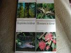 reptielen, insecten en bloemen in kleur, Ophalen of Verzenden, Gelezen, Natuur algemeen