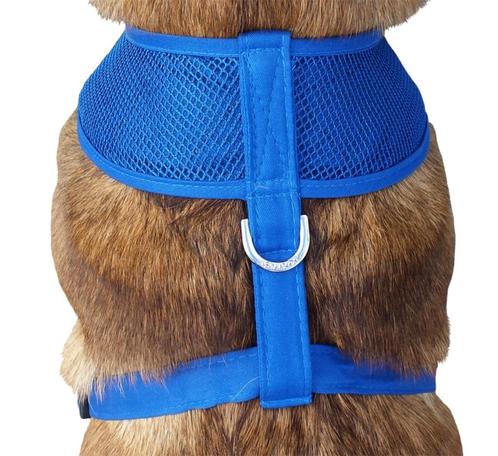 honden koeltuig, Dieren en Toebehoren, Honden-accessoires, Nieuw, Ophalen of Verzenden