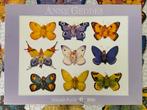 Anne Geddes Vlinder Puzzel - 1000 stukjes, Ophalen of Verzenden, Zo goed als nieuw, Overig