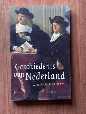 Boek: Geschiedenis van Nederland - Gijs van der Ham beschikbaar voor biedingen