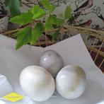 Set 3 marmeren eieren wit geel Pasen, Gebruikt, Ophalen of Verzenden