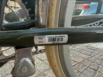 Gazelle van Stael 54cm beschikbaar voor biedingen
