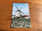 M126) Didam molen, Verzamelen, Ansichtkaarten | Nederland, Ophalen of Verzenden