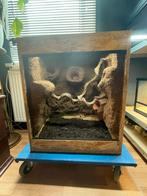 OSB terrarium, Dieren en Toebehoren, Reptielen en Amfibieën | Toebehoren, Ophalen, Gebruikt, Terrarium of Paludarium