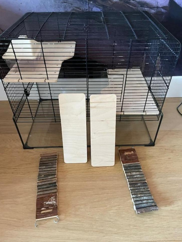 hamsterkooi, Dieren en Toebehoren, Knaagdieren en Konijnen | Hokken en Kooien, Gebruikt, Kooi, Minder dan 60 cm, Minder dan 75 cm