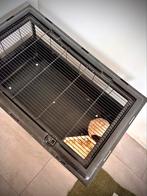 Hamsterkooi en accessoires, Kooi, Minder dan 75 cm, Zo goed als nieuw, Hamster