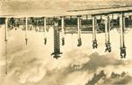 (388-231-041) Rotterdam Inang Diergaarde Blijdorp, Verzamelen, Verzenden, Zuid-Holland