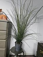 Kunstplant Sprieten, Groene kamerplant, Ophalen, Palm, 100 tot 150 cm