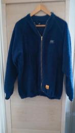 Helly Hansen merinowol onderkleding maat L, Kleding | Heren, Wintersportkleding, Maat 52/54 (L), Helly Hansen, Ophalen of Verzenden