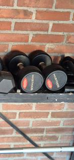 Hastings 2x 10kg dumbbell set dumbbells, Ophalen of Verzenden