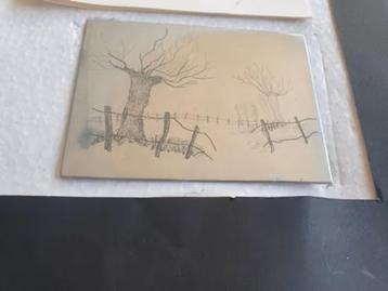 2 Etsen met uitleg en zinkplaatjes bomen Cor den Enting . beschikbaar voor biedingen