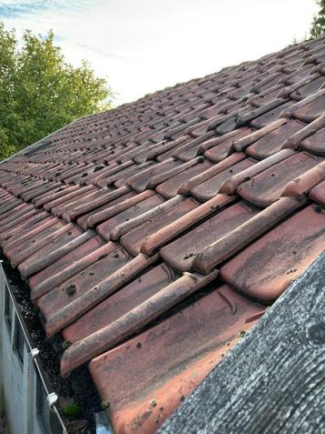 oude rode dakpannen beschikbaar voor biedingen