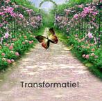 Energetische Massage, Overige