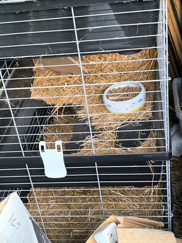 3 laags konijnenhok 120x60 beschikbaar voor biedingen