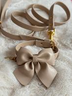 Piccoli Pets halsband + riem, Ophalen of Verzenden, Zo goed als nieuw
