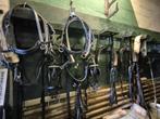 Voor tweespan zware borsttuigen + broeken, Dieren en Toebehoren, Paarden en Pony's | Hoofdstellen en Tuigage, Ophalen, Zo goed als nieuw