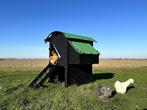 Kunststof Kippenhok - Nestera Medium Verhoogd, Dieren en Toebehoren, Ophalen of Verzenden, Nieuw, Kippenhok of Kippenren