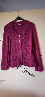 Bonita Vest Maat 46 - Lekker Warm!, Paars, Maat 46/48 (XL) of groter, Bonita, Ophalen of Verzenden