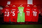 Gezocht: Matchworn FC Twente shirts, Tickets en Kaartjes, Sport | Voetbal, Seizoenskaart, Eén persoon