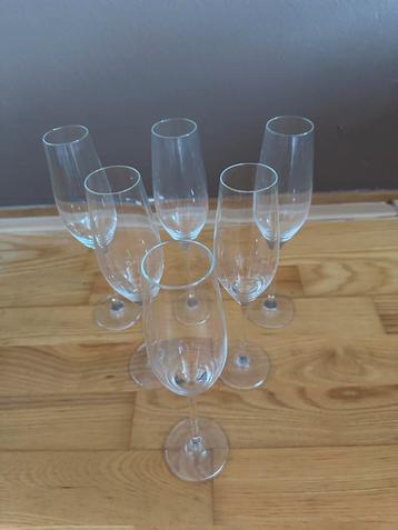 Champagne/Prosecco Glazen Set beschikbaar voor biedingen