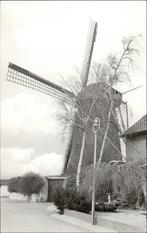 Korenmolen Z10 Nuth (L) Anno 1850 -foto uit 1978 ., Verzamelen, Ansichtkaarten | Nederland, Ongelopen, Limburg, Verzenden