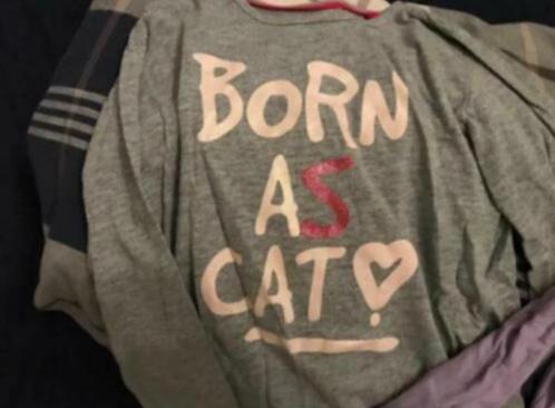 Shirt grijs in maat 98/104, Kinderen en Baby's, Kinderkleding | Maat 98, Gebruikt, Meisje, Shirt of Longsleeve, Ophalen