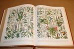 Larousse Encyclopedie [1917-1919] — Einde Wereldoorlog I, Antiek en Kunst, Antiek | Boeken en Bijbels, Ophalen of Verzenden