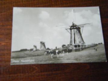 B35 - Leidschendam - Molen - Mooi/Oud beschikbaar voor biedingen