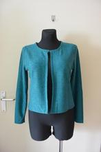 Passport vestje 38 groen glitter, leuk feestdagen, Kleding | Dames, Maat 38/40 (M), Passport, Ophalen of Verzenden, Gedragen